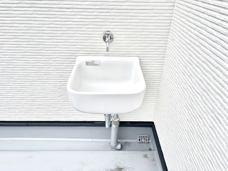 ���̑����� �o���R�j�[����������΂��|�����y�X�ł��B    