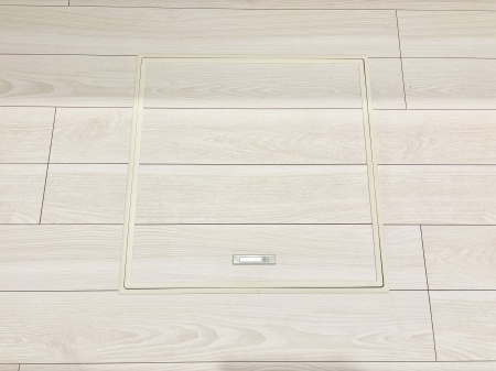 ���̑����� �������[�t���I���p�i�E���p�i�̎��[�ɂ��劈��B