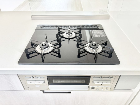 ���̑����� �K�X�R�����͂r���Z���T�[���ځB�Η͒��߂�ł��t���E�����Y����h���ł���܂��B