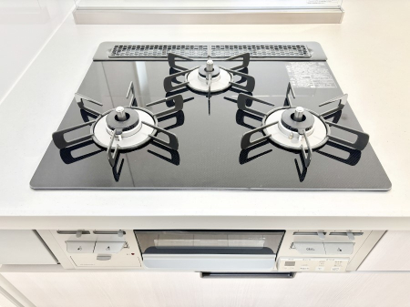 ���̑����� �O���K�X�R�����ł���������C�ɂ͂��ǂ肻��  �@