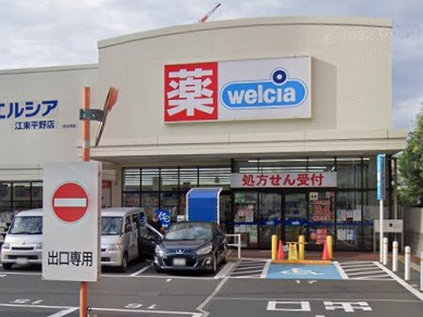 ���ӊ� �h���b�O�X�g�A 500m �E�G���V�A�]������X