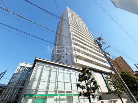 ���n�O�ώʐ^ ����z���ł��Ƒ��̏Ί���P��