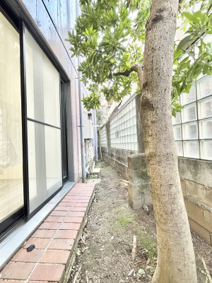 �o���R�j�[ �S�n�悢���������Ȃ��炨���󕨂����������ł��@