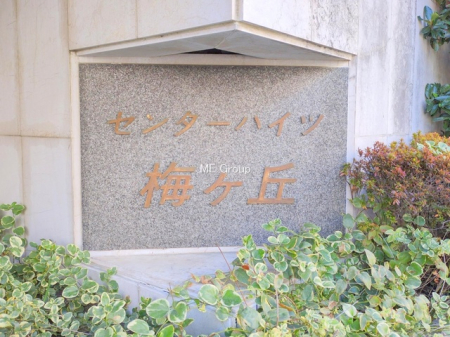 �G���g�����X -