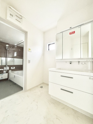 ���̑� �_�炩�Ȓ��̌����������鑋���������ʎ�