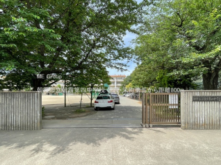 ���ӊ� ���w�Z 800m �����s��������l���w�Z