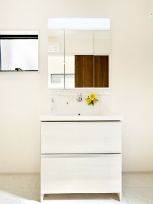 ���ʑ�E���ʏ� �X�^�C�����O�ɕ֗��ȎO�ʋ��A�~���[�L���r�l�b�g�ōׂ������X�b�L��