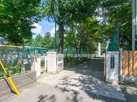 ���ӊ� ���w�Z 320m �������s����O���w�Z