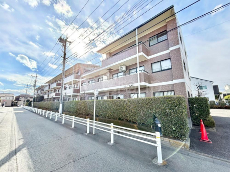 ���n�O�ώʐ^ ��������n�܂�V�����������������܂��I  