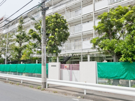 ���ӊ� �c�t���E�ۈ牀 810m �x�m�����ۈ牀