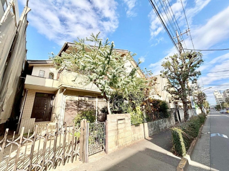 ���n�y�n�ʐ^ �����Ղ�̗z���ƊJ�����ɕ�܂�閾�邢�Z�܂�