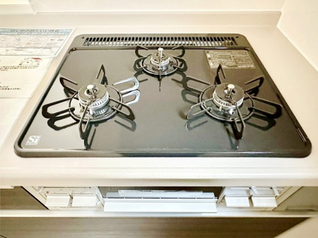 ���̑����� �O���K�X�R�����ł���������C�ɂ͂��ǂ肻��  �@