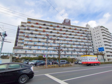 ���n�O�ώʐ^ -