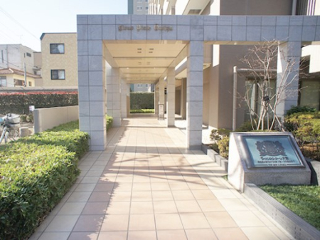 �G���g�����X �G���g�����X�ɂ͗Ί�����A�́B�}���V�����ɍʂ�����o���Ă���܂��I