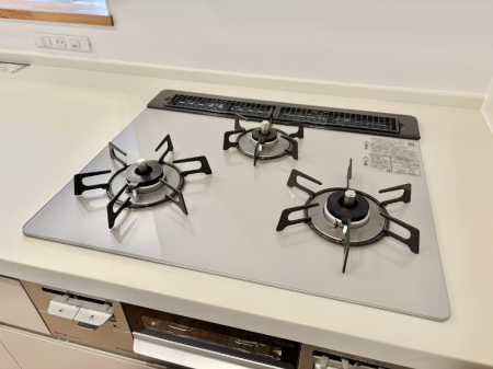 ���̑����� �O���K�X�R�����ł���������C�ɂ͂��ǂ肻��  