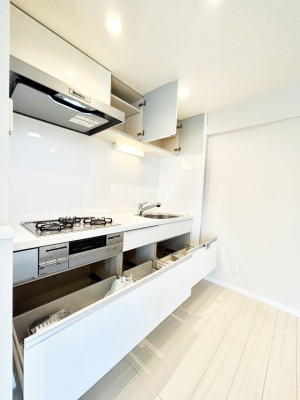 ���̑����� �g���₷����D�悵���X���C�h�����[�^�C�v�I