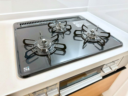 ���̑����� �K�X�R�����͂r���Z���T�[���ځB�Η͒��߂�ł��t���E�����Y����h���ł���܂��B