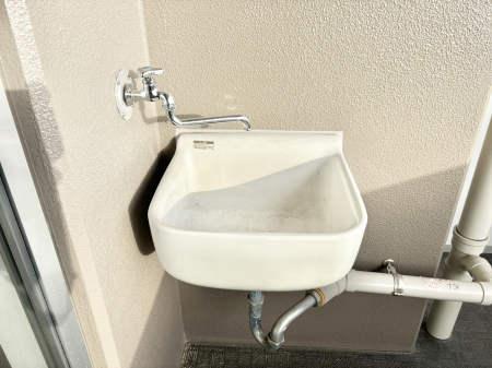 ���̑����� �o���R�j�[����������΂��|�����y�X�ł��B    