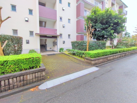 �G���g�����X -