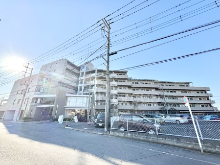 ���n�O�ώʐ^ ����z���ł��Ƒ��̏Ί���P�� 