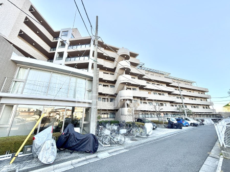 ���n�O�ώʐ^ ��������n�܂�V�����������������܂�