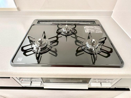 ���̑����� �O���K�X�R�����ł���������C�ɂ͂��ǂ肻��   