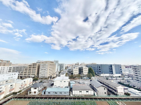 ���̑� �S�n�悢����������ꂻ���Ȓ��]�ł�