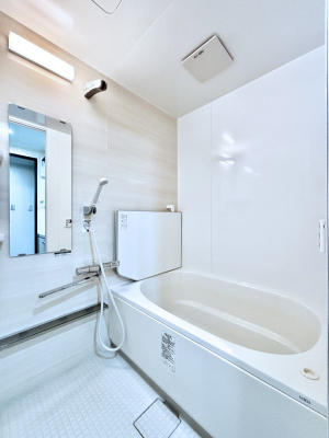 ���� ����̔�������Ă���閾�邢�������̂���o�X���[��  