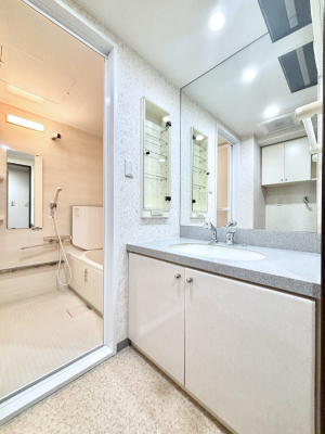 ���ʑ�E���ʏ� ������������ʉ��ώ��Œ��̐g�x�x�����K  