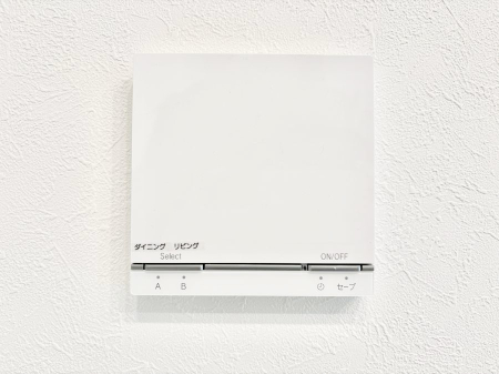 ���̑����� ���g�[�t���œ~���|�J�|�J�B���Ƒ��̌e���̃X�y�[�X�ɂȂ�܂��ˁB