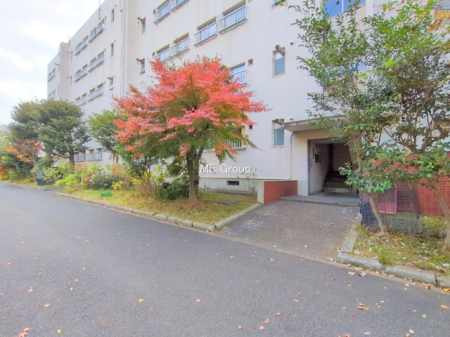 �G���g�����X -