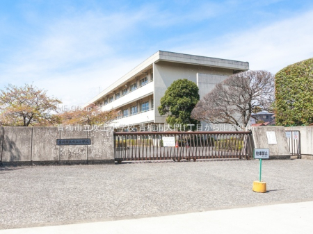 ���ӊ� ���w�Z 850m �~�s�����㏬�w�Z