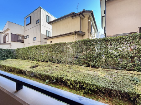 ���̑� �S�n�悢����������ꂻ���Ȓ��]�ł�