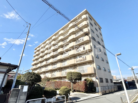 ���n�O�ώʐ^ ��������n�܂�V�����������������܂�