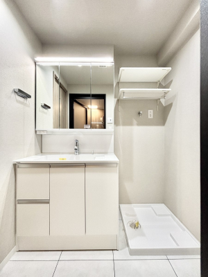 ���ʑ�E���ʏ� �X�^�C�����O�ɕ֗��ȎO�ʋ��~���[�L���r�l�b�g�ōׂ������X�b�L��