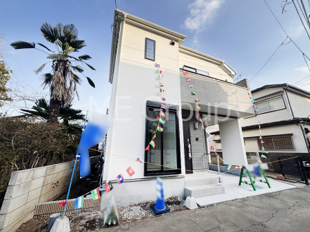 ���n�O�ώʐ^ ��Ƃ肪�Ί�𐶂ސS�n�悢����