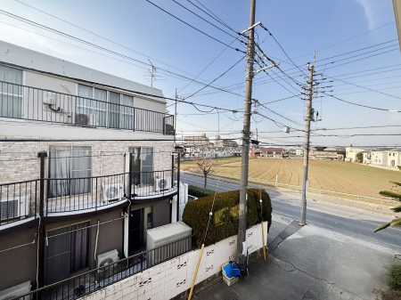 ���̑� �o���R�j�[����̒��]�ł��B�S�n�悢����������ꂻ���ł��ˁI