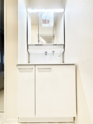 ���ʑ�E���ʏ� ���[�͂Ƌ@�\���ɗD�ꂽ���ʉ��ϑ�