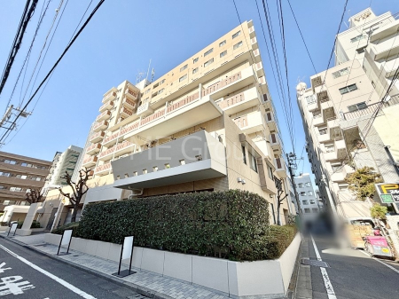 ���n�O�ώʐ^ ����z���ł��Ƒ��̏Ί���P�� 