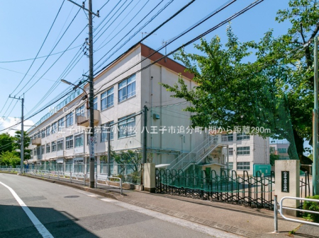 ���ӊ� ���w�Z 290m �����q�s����񏬊w�Z