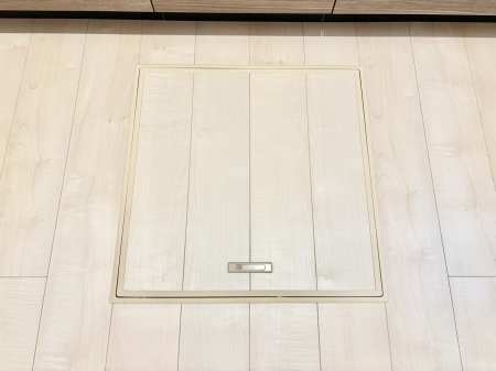 ���̑����� �������[�t���I���p�i�E���p�i�̎��[�ɂ��劈��B