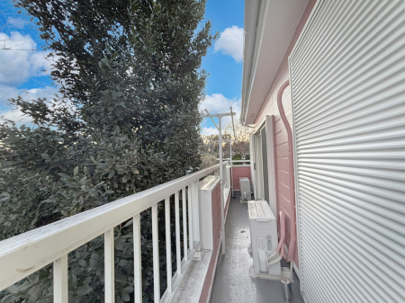 �o���R�j�[ ���ʂ��̗ǂ��o���R�j�[