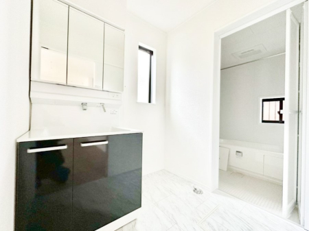 ���̑� �_�炩�Ȓ��̌����������鑋���������ʎ�