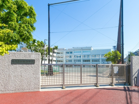 ���ӊ� ���w�Z 830m ���c�J�旧�R�쏬�w�Z