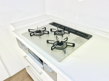 ���̑����� �O���K�X�R�����ł���������C�ɂ͂��ǂ肻��  