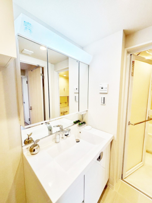 ���ʑ�E���ʏ� ������������ʉ��ώ��Œ��̐g�x�x�����K  