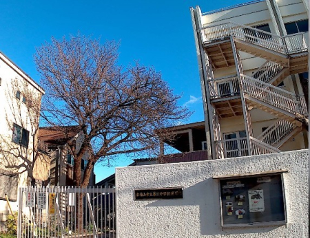 ���ӊ� ���w�Z 1290m �����R�s�������R��O���w�Z