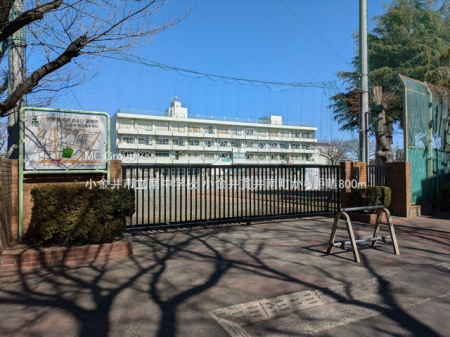 ���ӊ� ���w�Z 800m ������s���쒆�w�Z