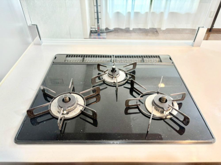 ���̑����� �O���K�X�R�����ł���������C�ɂ͂��ǂ肻��  �@