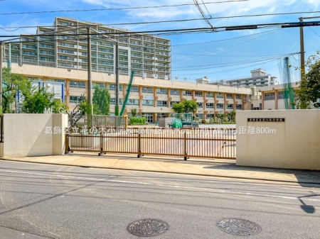 ���ӊ� ���w�Z 800m �����旧�Ԃ̖؏��w�Z